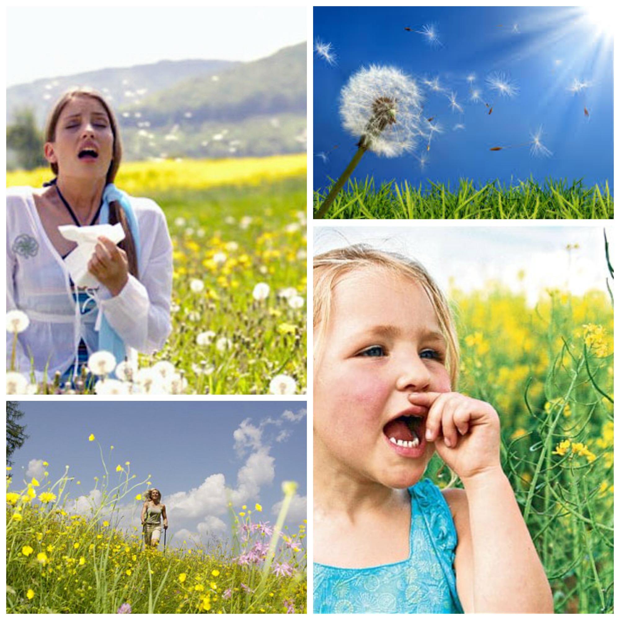 Allergies & Asthma – Change is in the air!